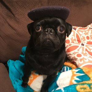 Meet your Posher, Olga